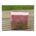 la zouch soaps dew of the sea 1 1
