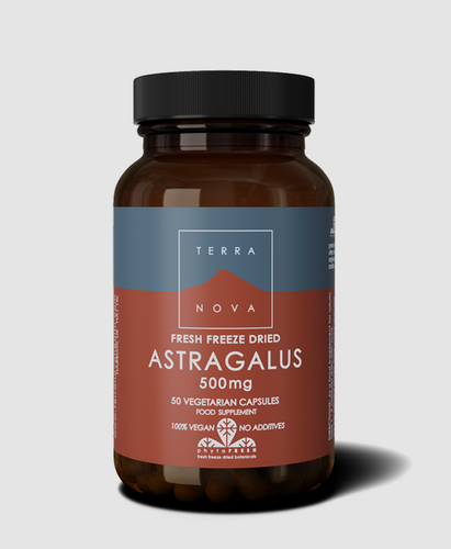 terra nova astragalus 1