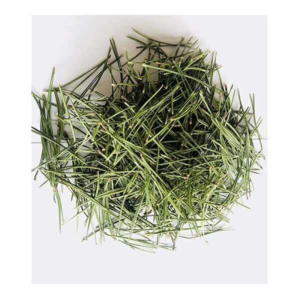 the shrub hub pine needle tea 60g 1 1